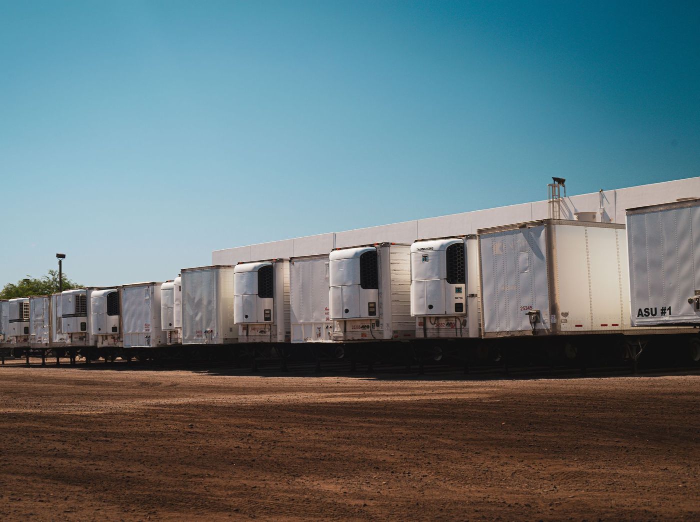 A line of refrigerated trailers parked in a yard, reefer units visible on the nose of each.